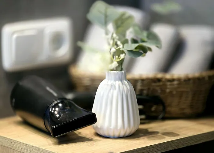 Alpspitzecho * ガルミッシュ・パルテンキルヒェン